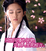 问世间情为何物
